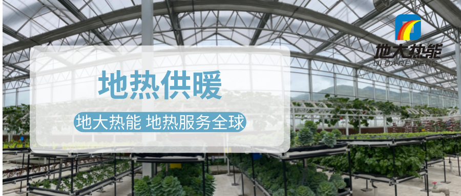 發(fā)揮地熱資源優(yōu)勢，地熱農(nóng)業(yè)實現(xiàn)花卉產(chǎn)業(yè)特色發(fā)展 | 地大熱能 地熱服務(wù)全球